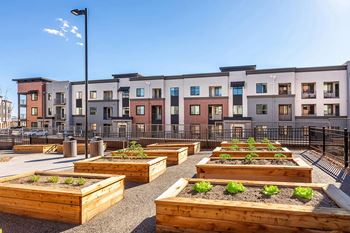 Community garden